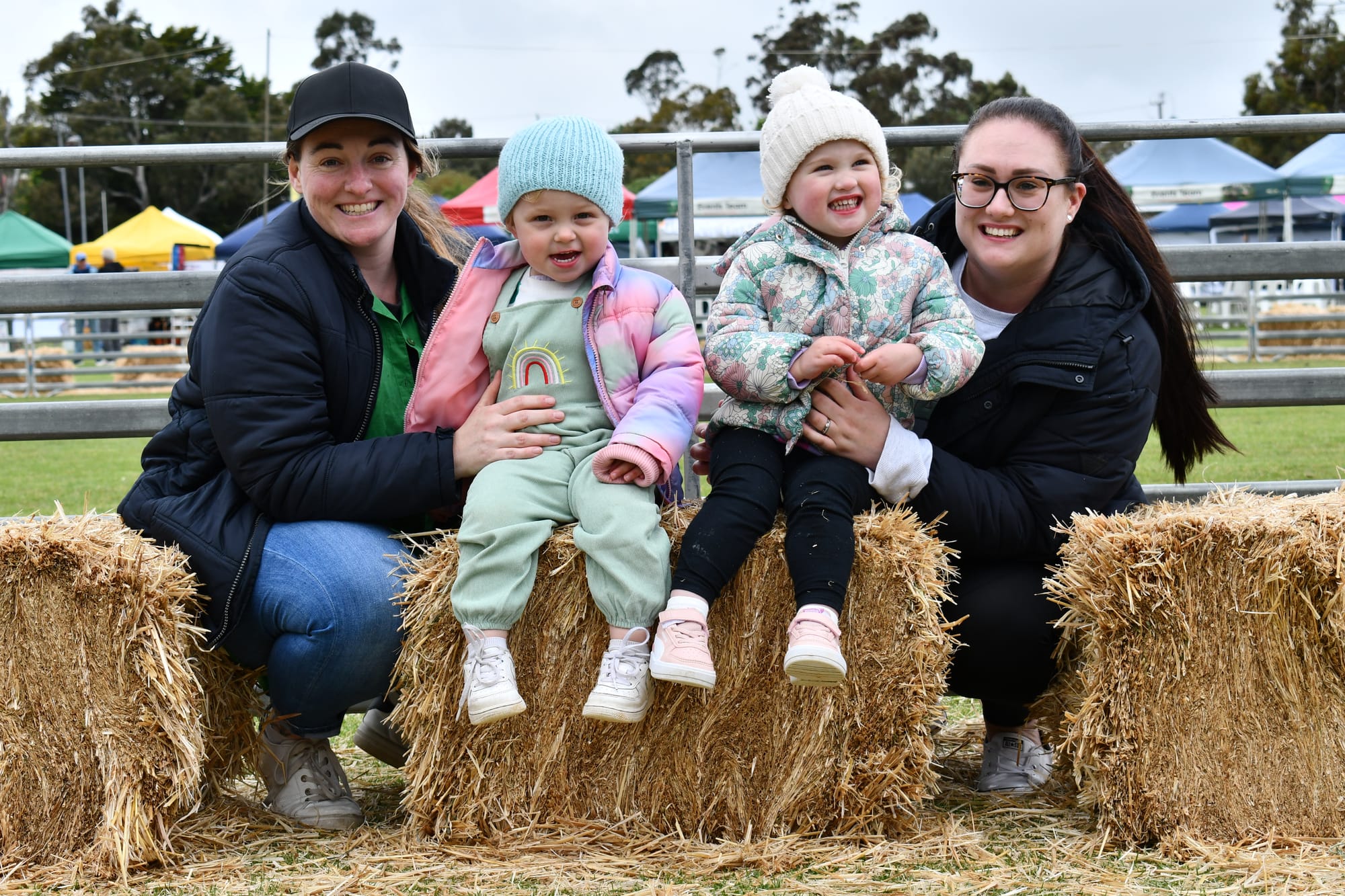 Udderly good fun at the Meadows Fair