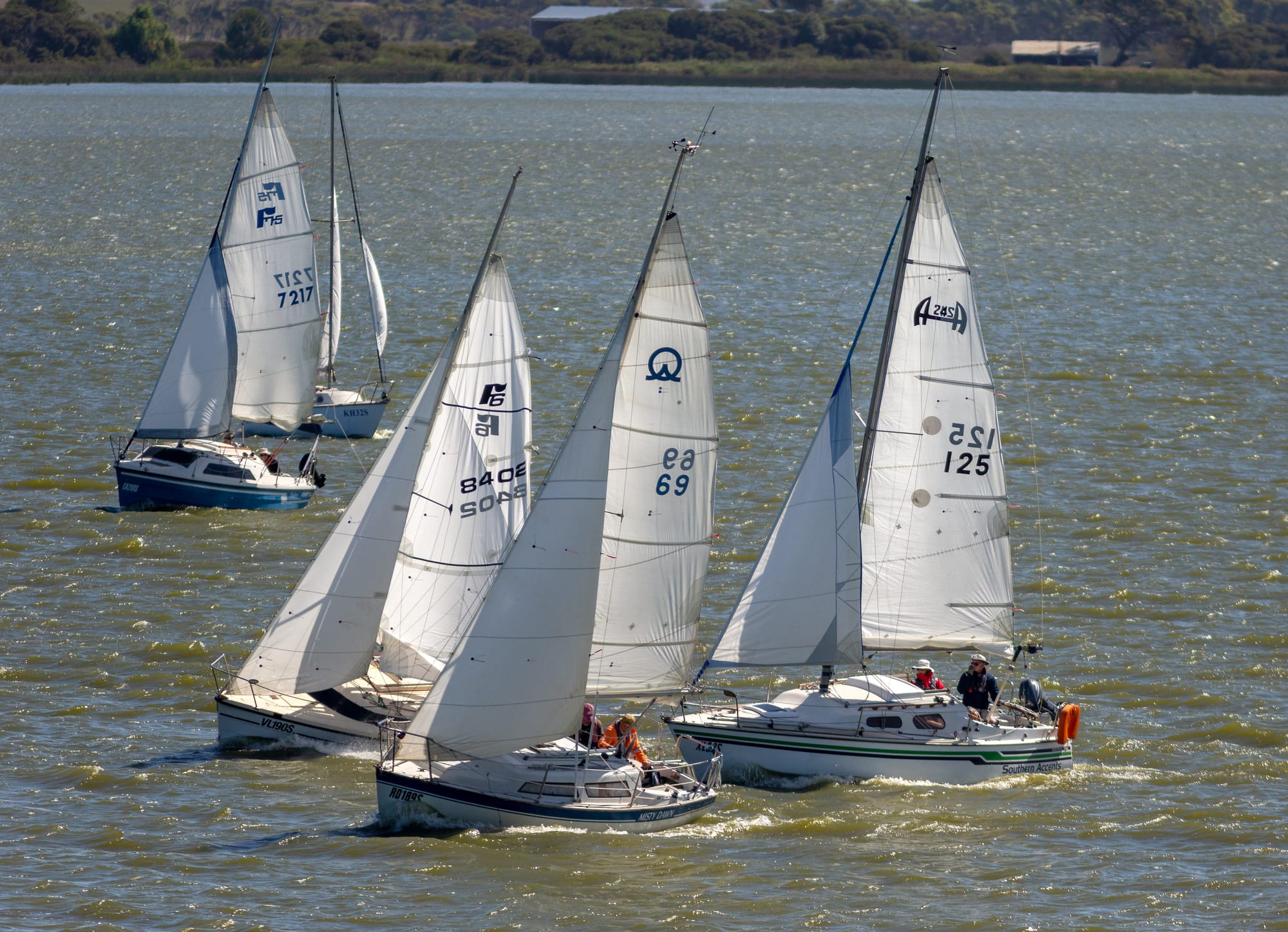 Algae blooms cause change of tack for Rat Race Regatta
