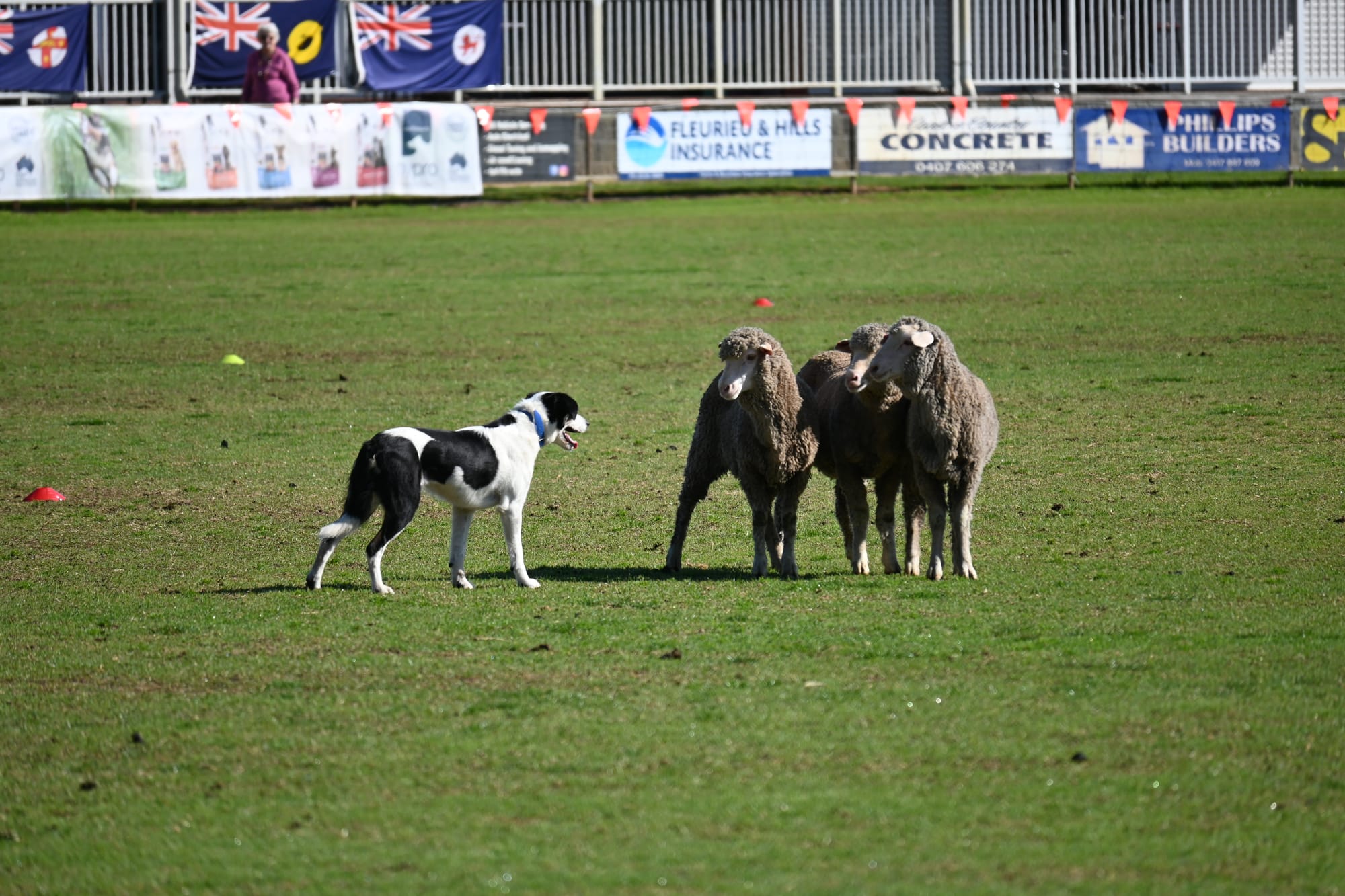 Community groups scrape in for council grants