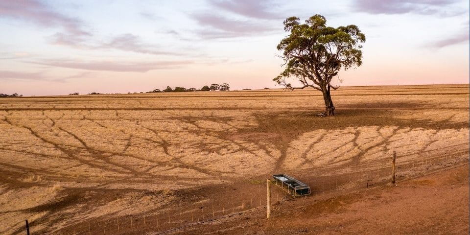 Calls to moderate water usage amid SA’s record dry summer