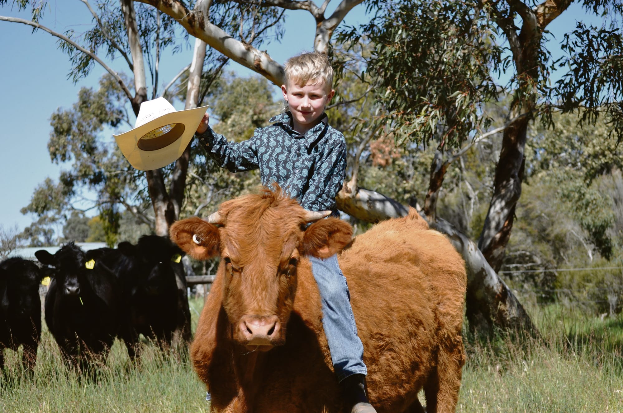 Young Finniss rider makes rodeo debut
