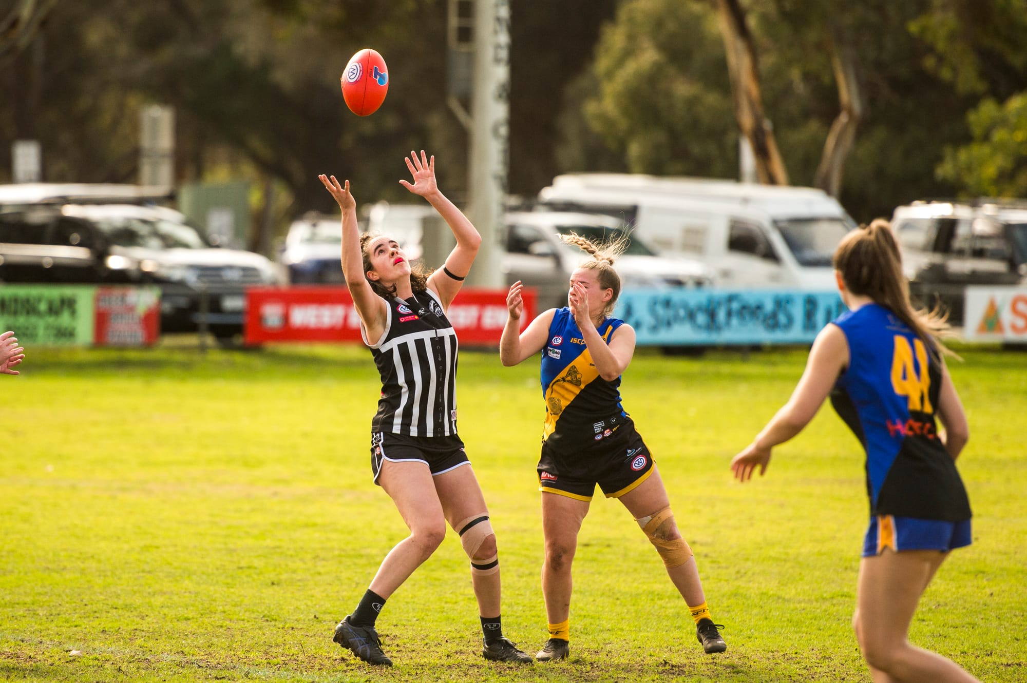 Goolwa/Port Elliot A Grade Women knocked out of finals