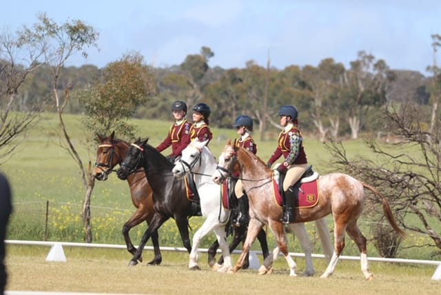 Local pony club riders saddle-up for success
