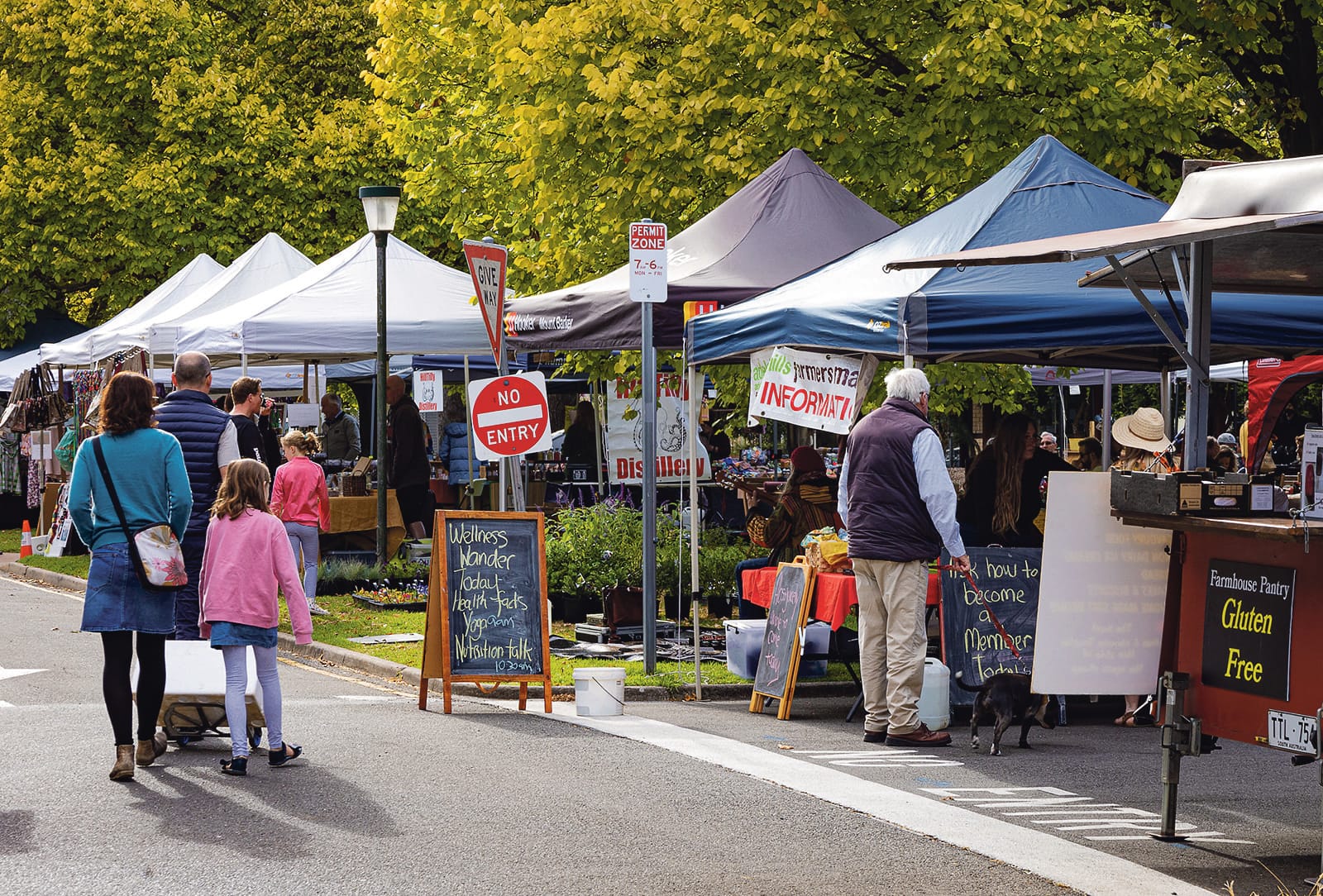 Local farmers market seeks producers, offers better engagement with consumers