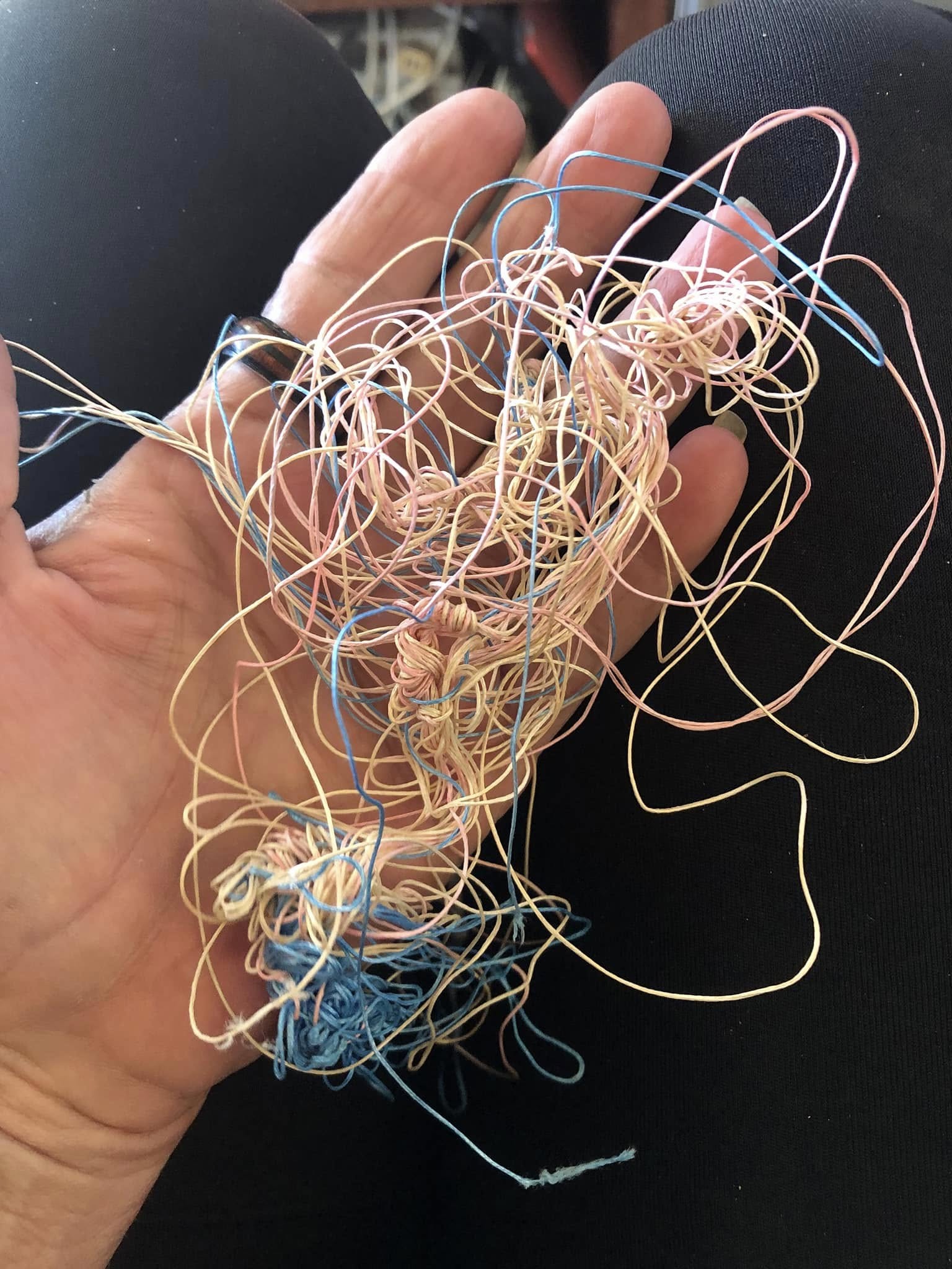 Fishing line entanglement rescues on the rise locally