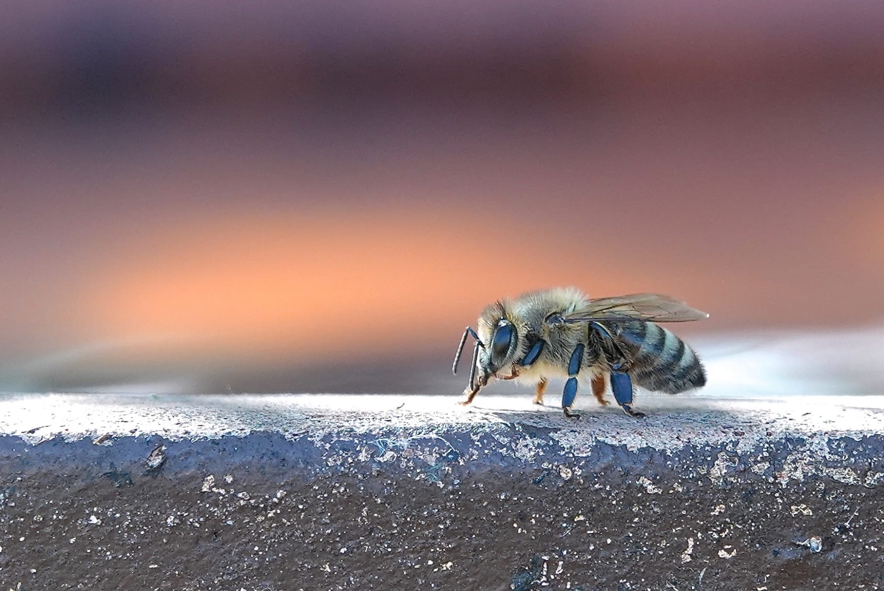 Stationmaster’s exhibition continues the Bleasdale Potts family photographic tradition