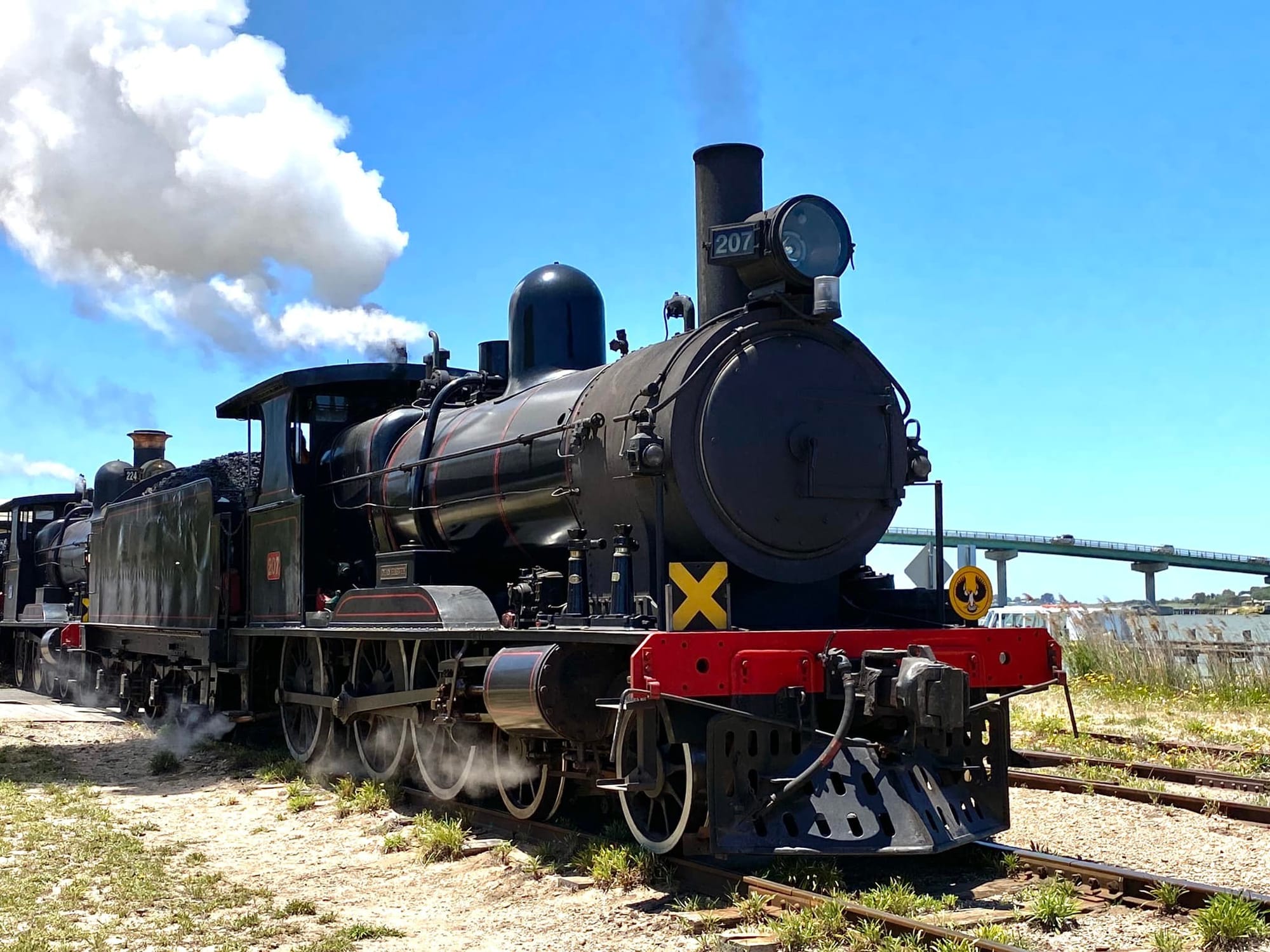 Full steam ahead for Cockle Train recovery