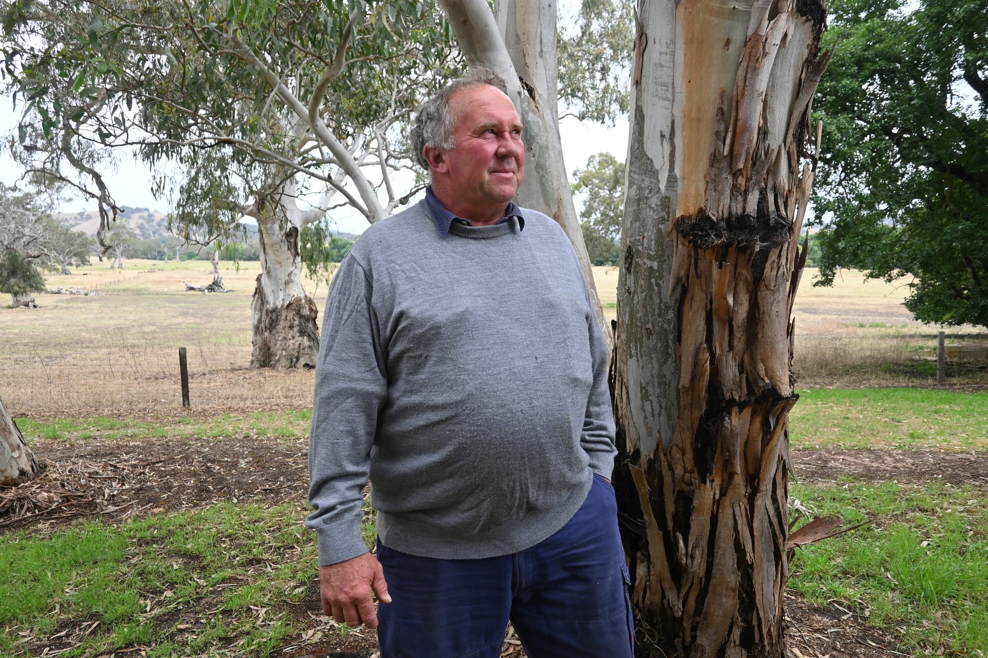 Ash Wednesday reflections