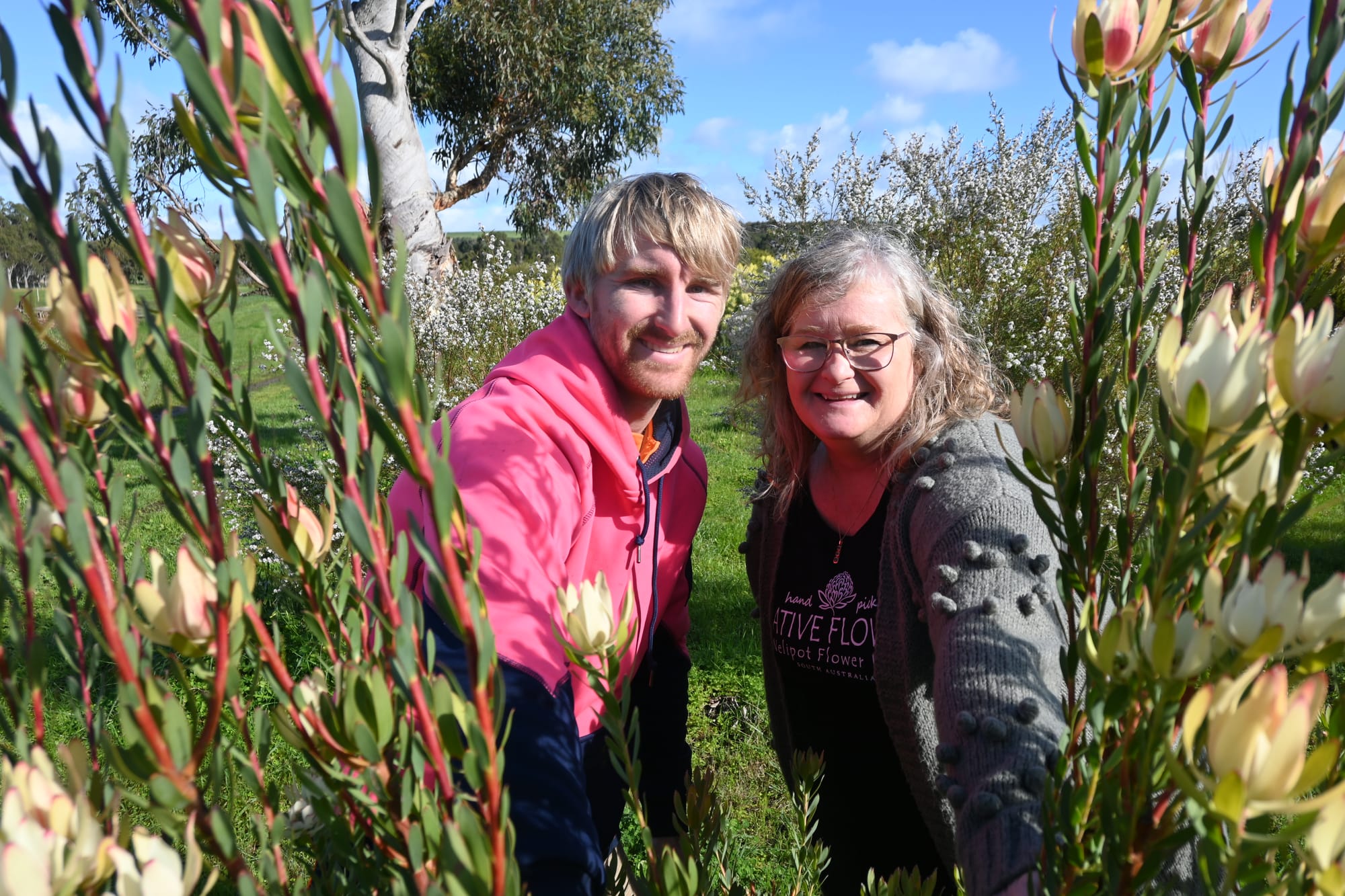 New season almost blooms