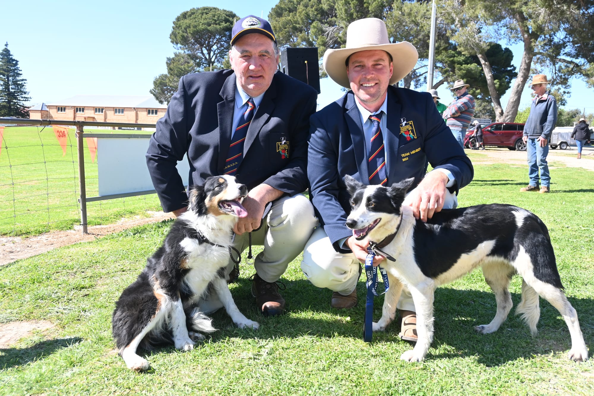 Sheep dog trials are unleashed
