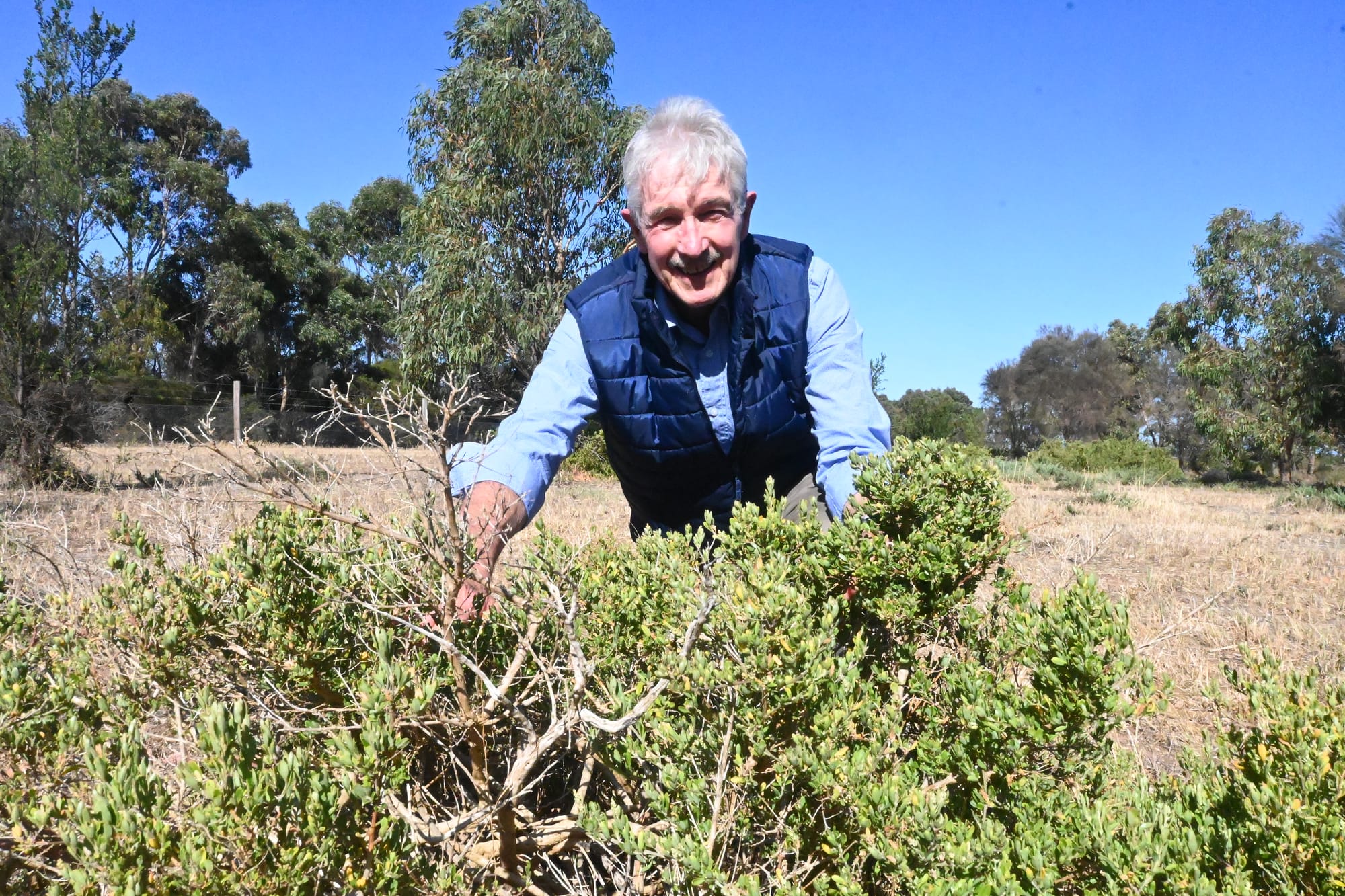 Sss-snakes on the move