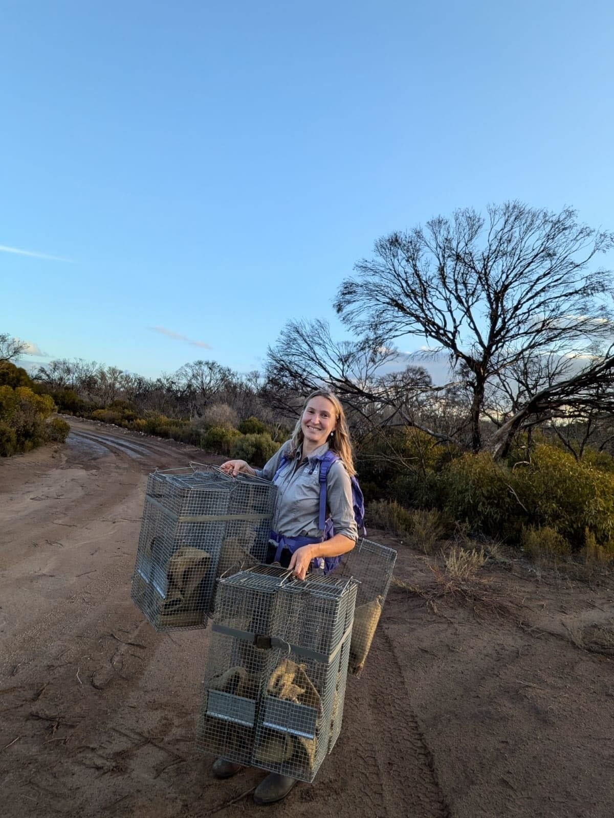 From little things, big things grow