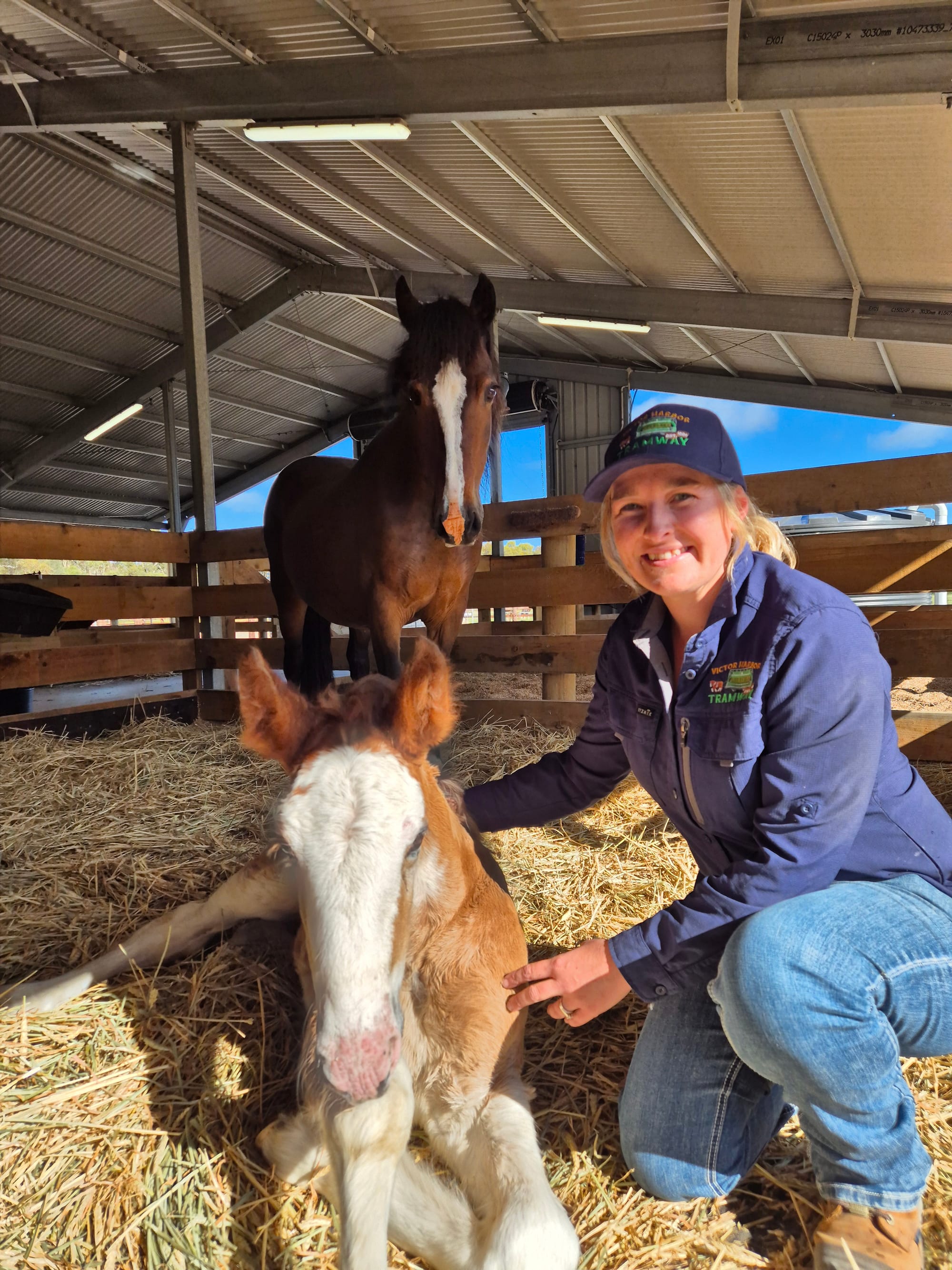 Boosting the love at Victor Harbor Tramway