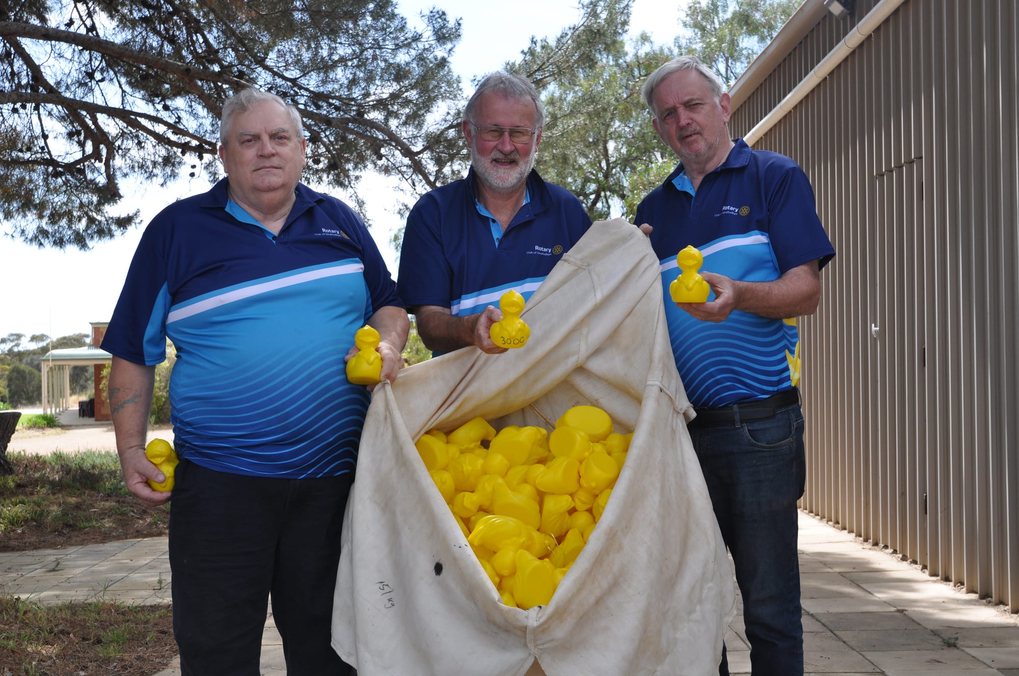 Counting out the ducks