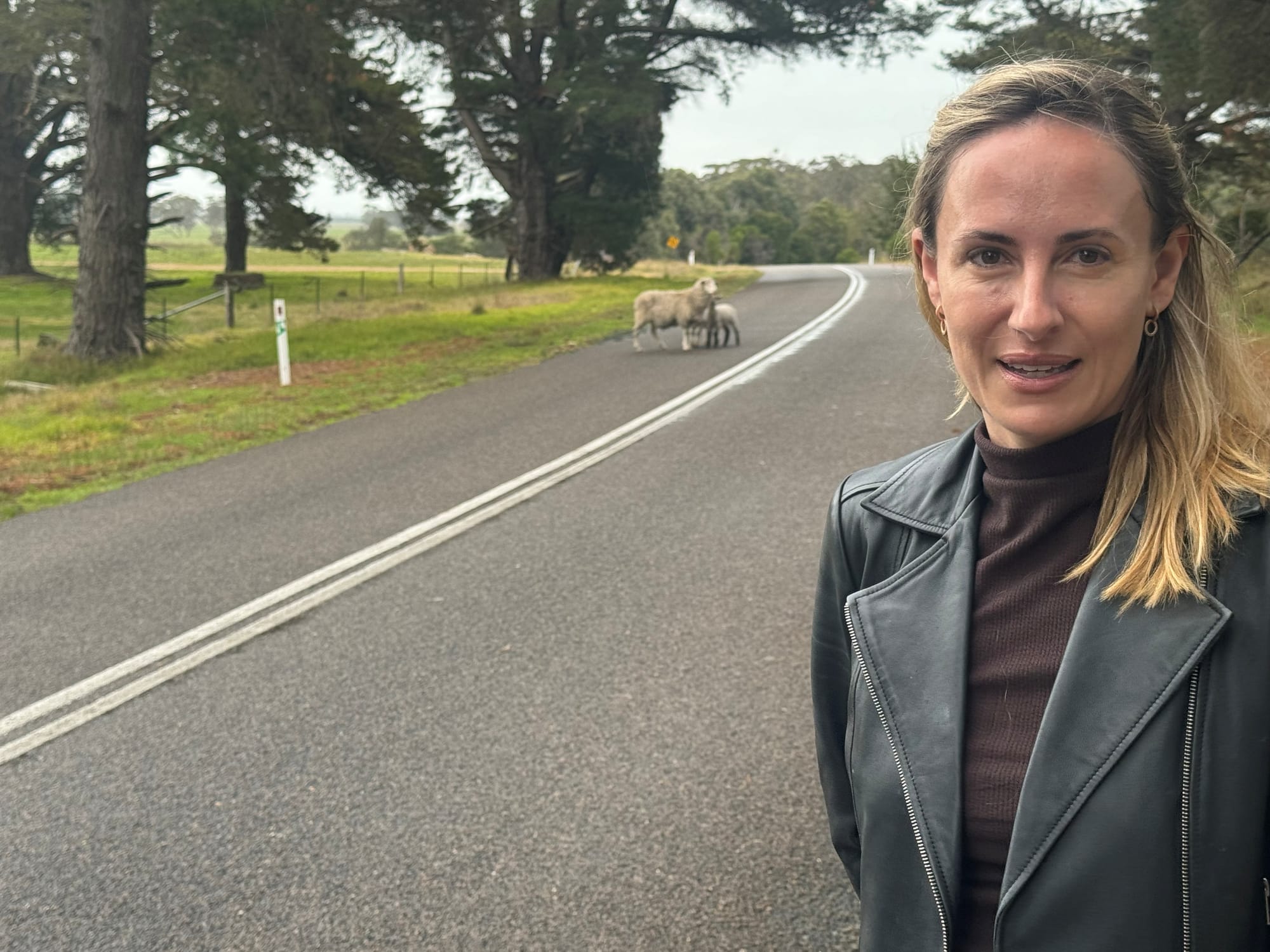 Virtual fencing no closer for SA farmers?