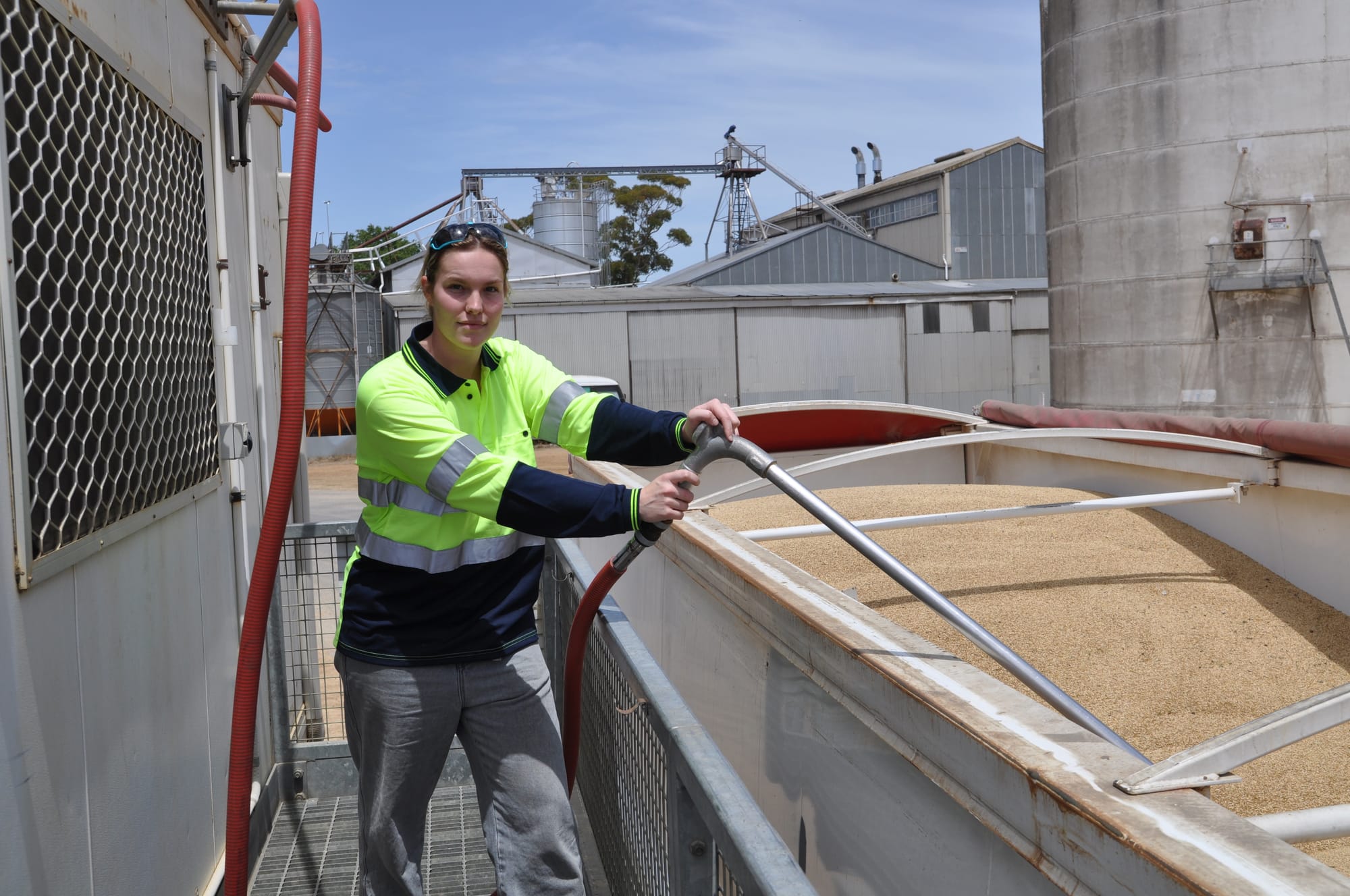 Harvest in full swing
