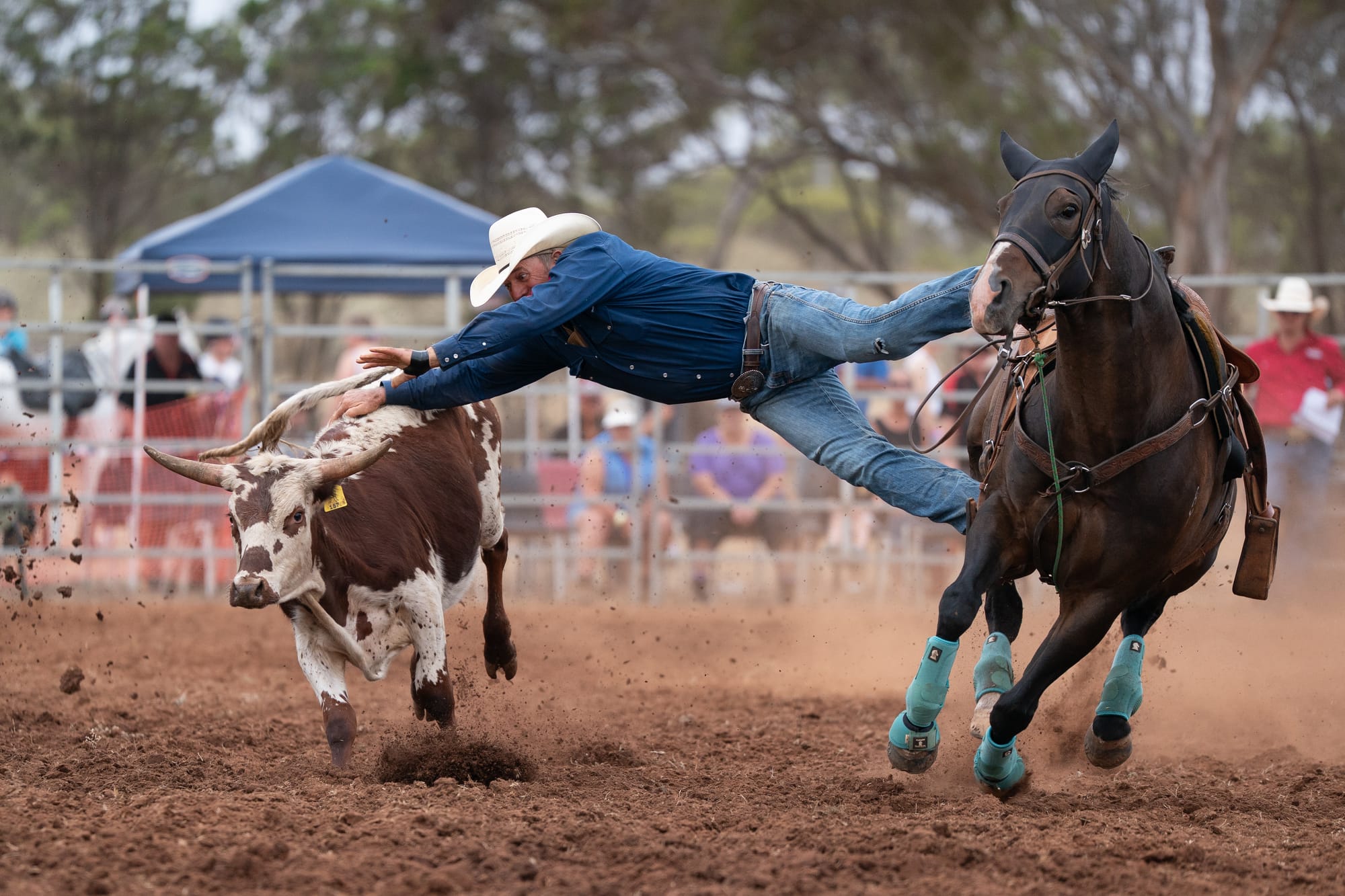 Murray Bridge rodeo’s successful comeback