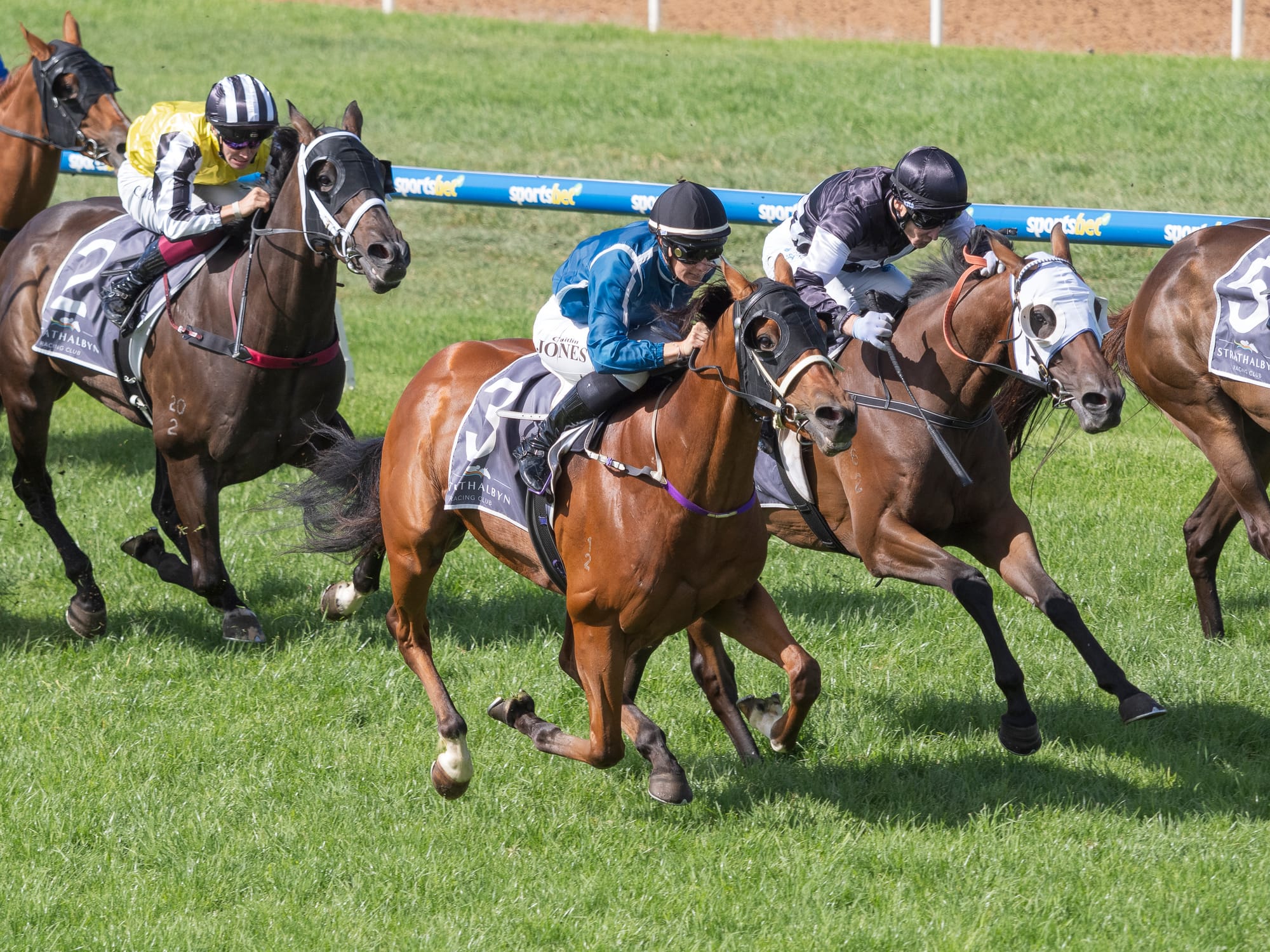 Perfect conditions on $5 Race Day