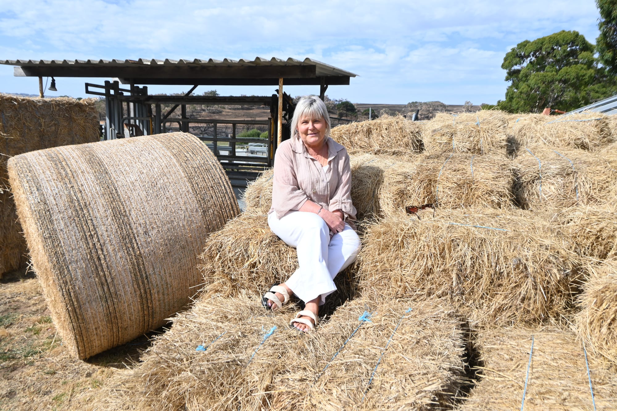 Community donates hay after fires