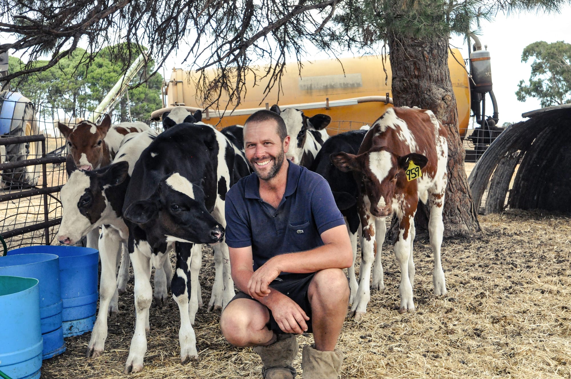 Keeping dairy cattle in the family