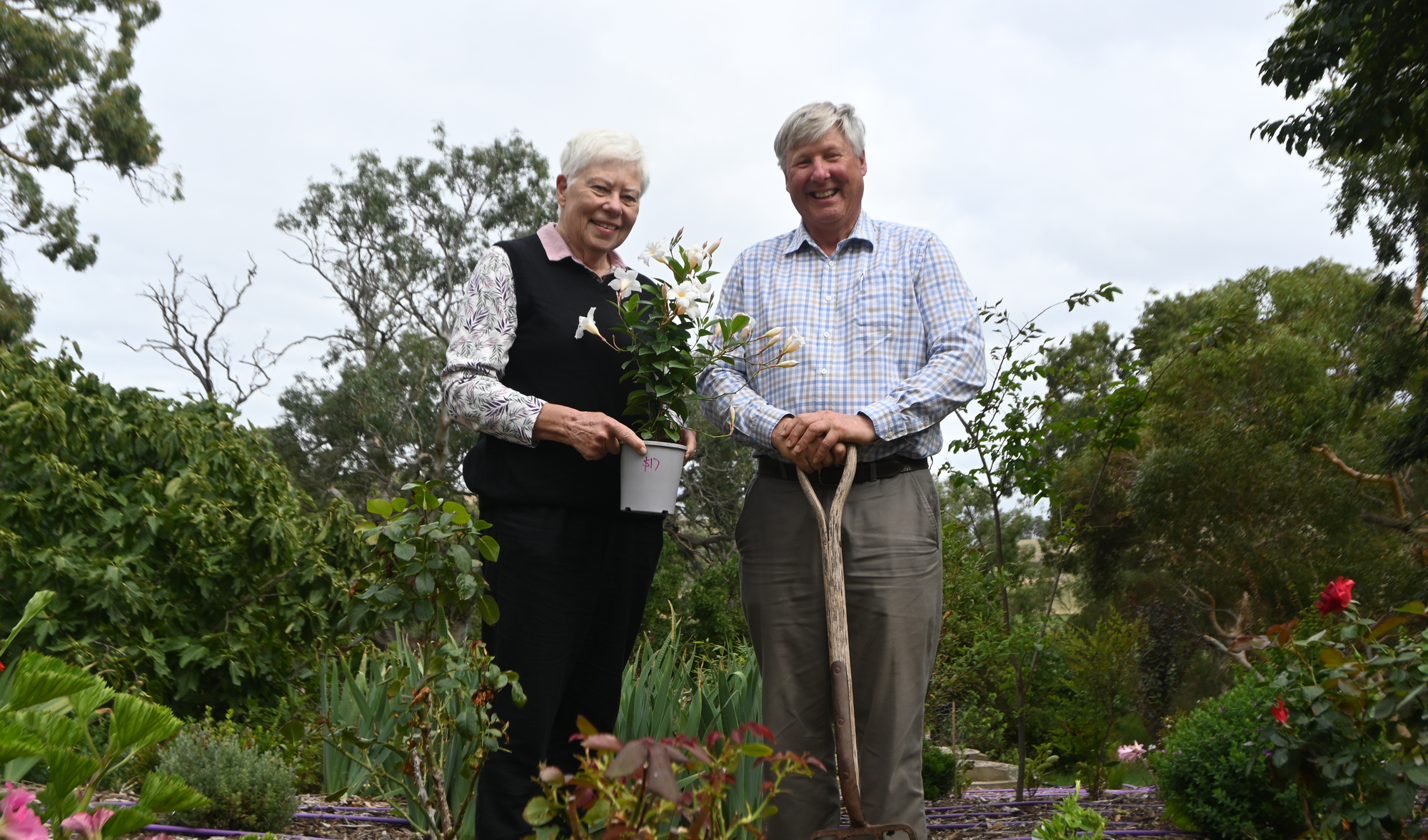 A blooming beautiful gala