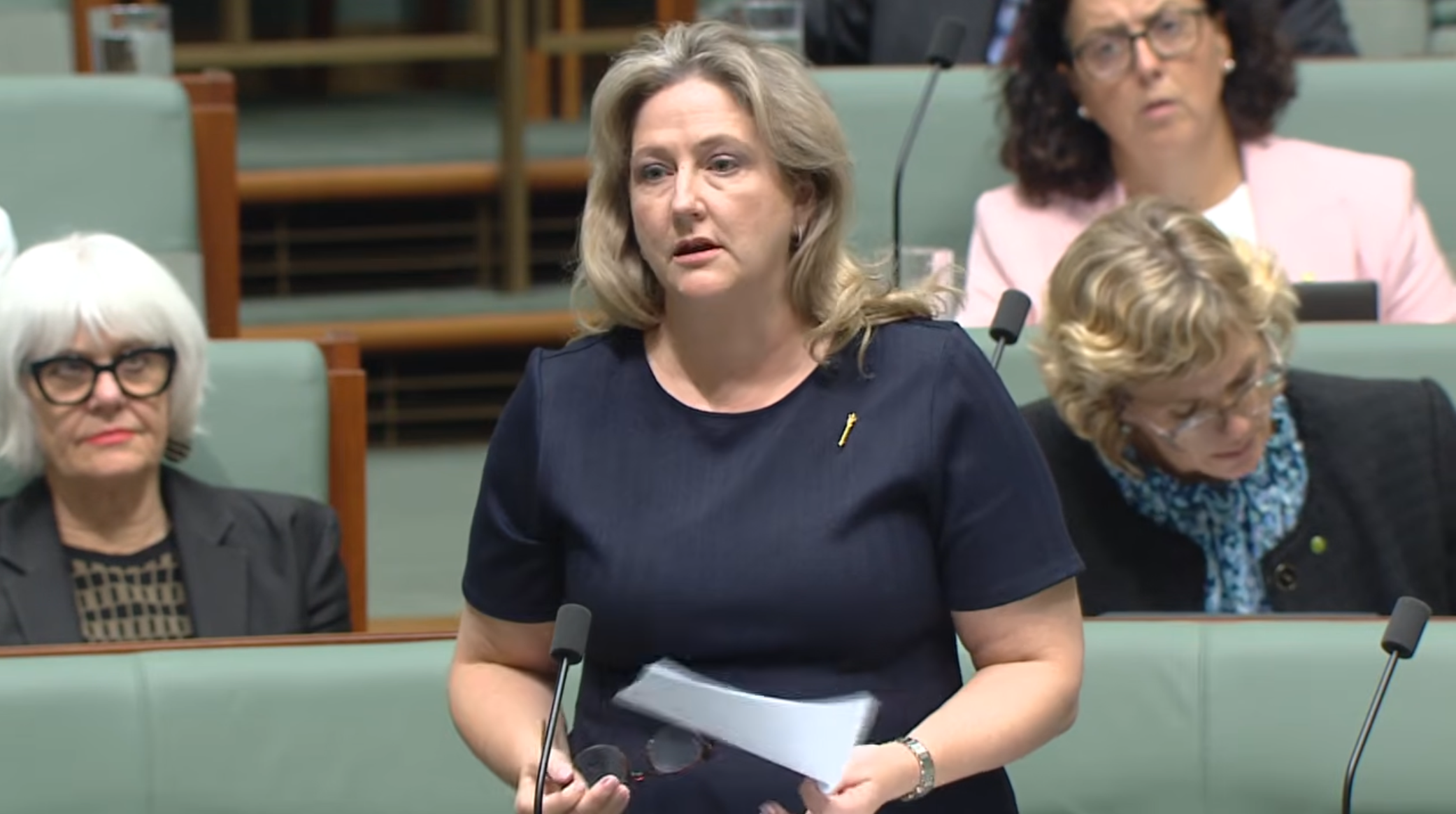 Local fuel security raised in parliament