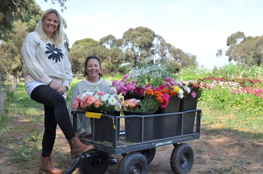 Sisters making flowers bloom at Langhorne Creek post image