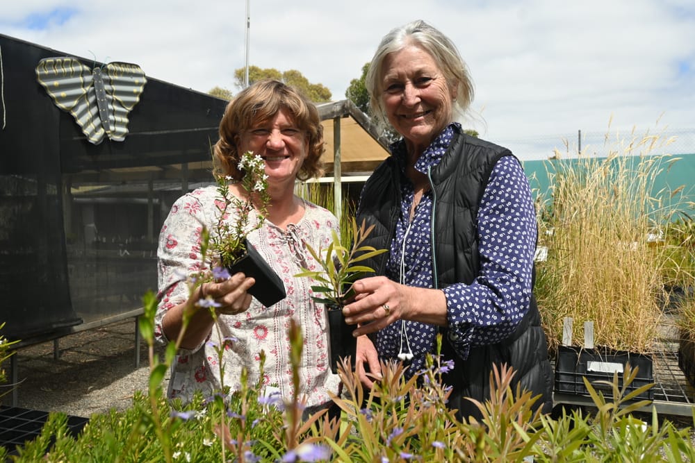 Nursery blossoming with growth post image