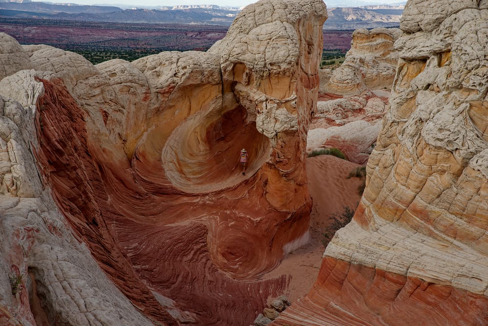 Swapping photographic skills for a better world post image