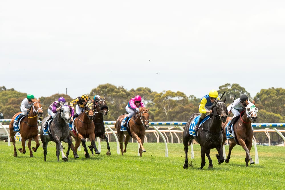 David Jolly wins solid silver Vignerons Cup post image