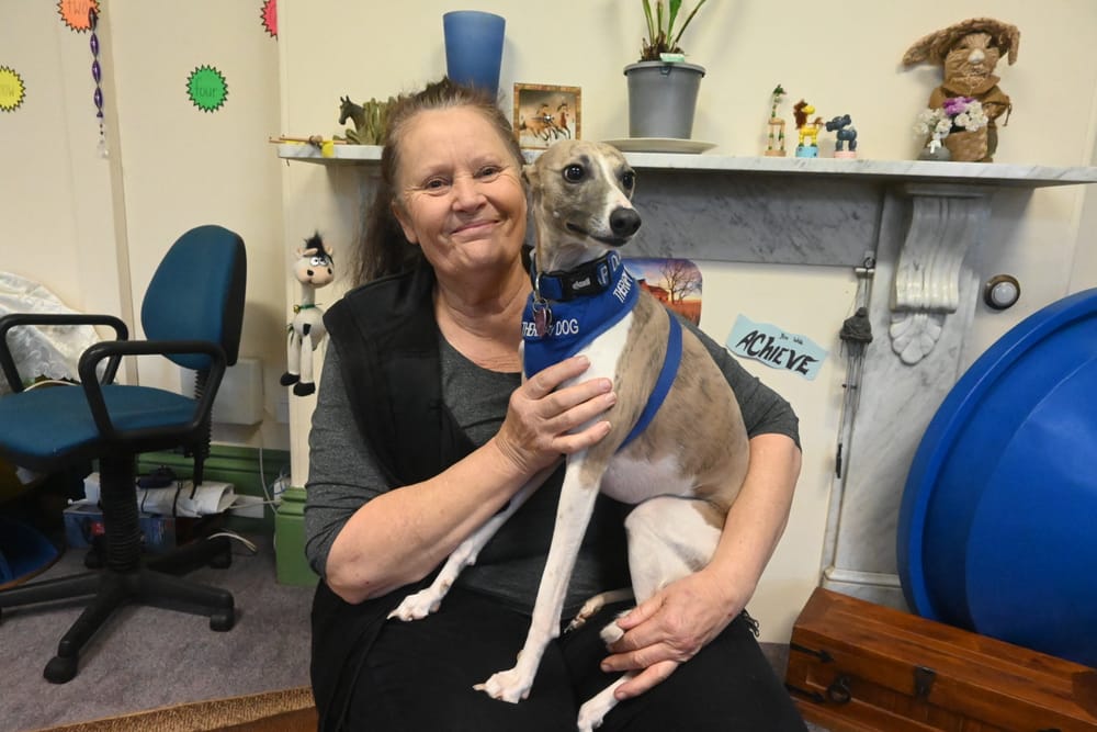 Meet Strathalbyn’s loving four-legged friend trained to comfort people in need post image