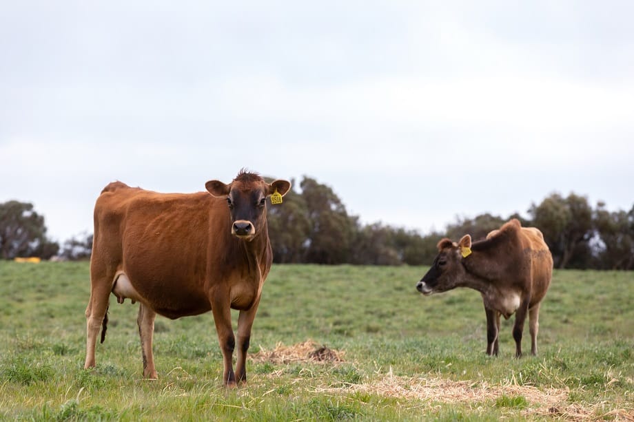 Paris Creek Farm sells post image
