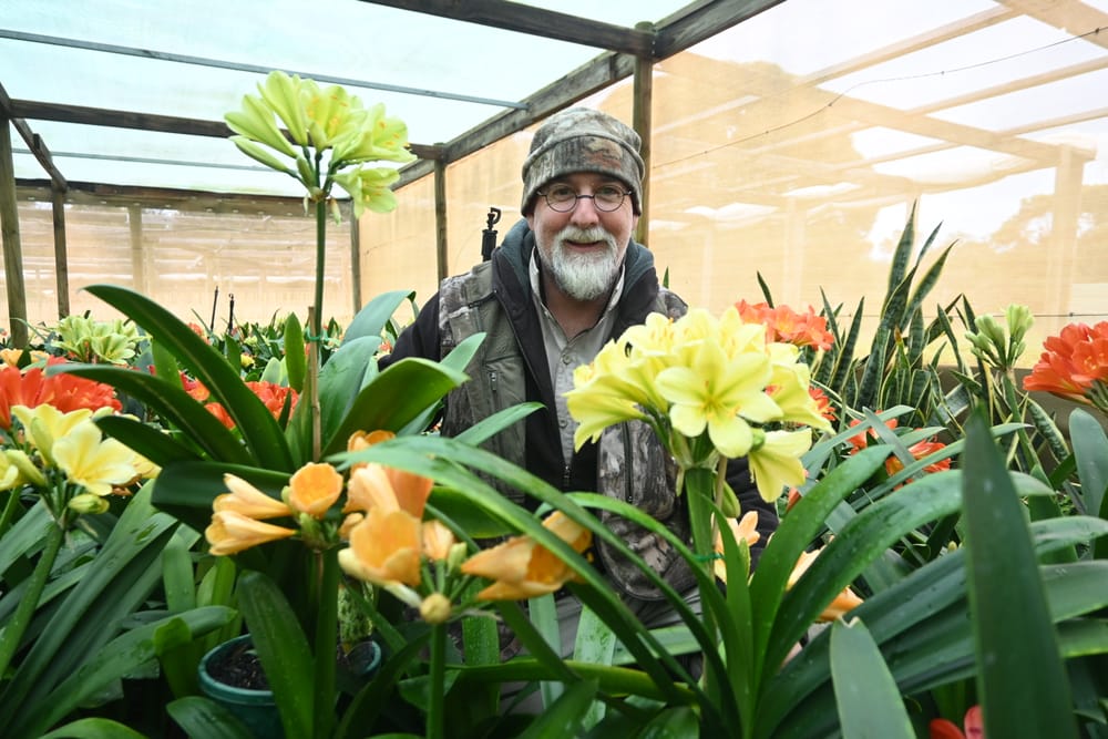 CLIVIA CLASS OF ’17: Bloomin’ beautiful Strathalbyn nursery post image