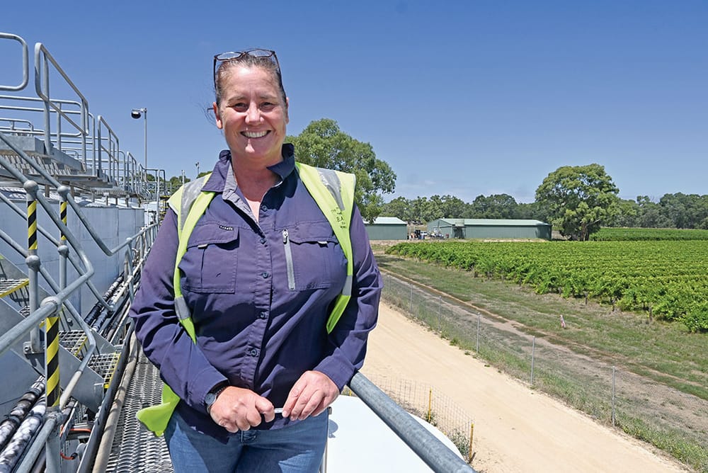 Local winery hoping for ‘a hat trick’ post image