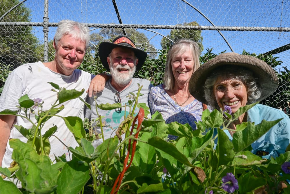 Green thumbs-up for local garden post image