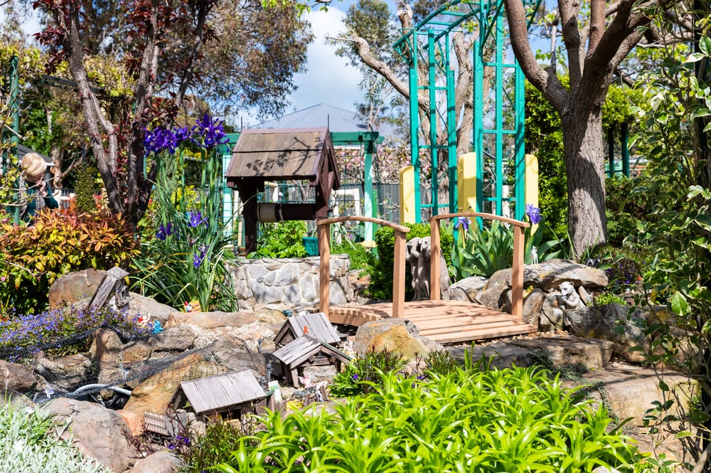 Strathalbyn open garden blooms ‘overwhelming’ feedback post image