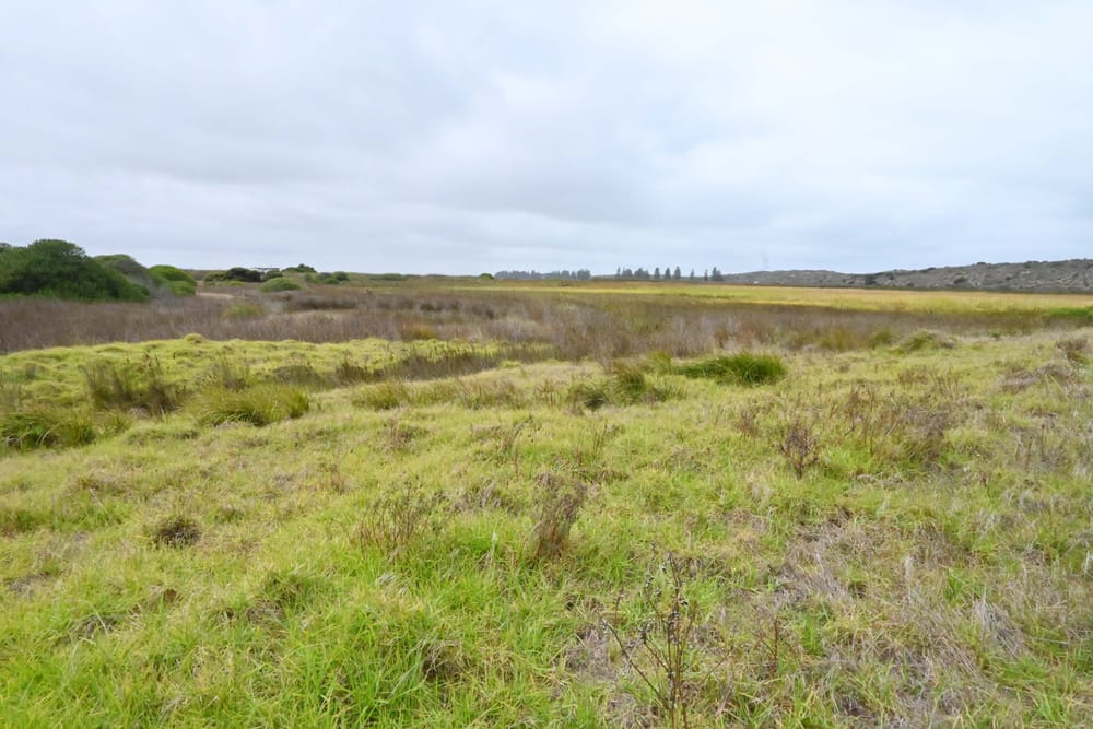 Goolwa Rowing Club petitions Alexandrina Council for growth assistance post image