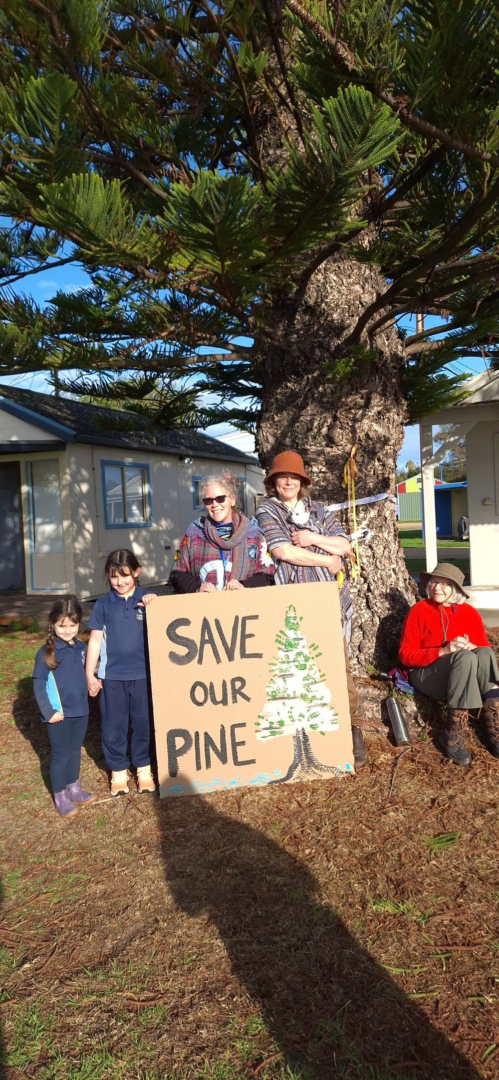 Protest at Milang halts removal of 75-year-old tree... STANDING FIRM post image