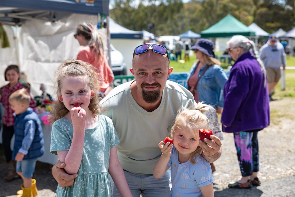 Fun, fruitful Macclesfield day out sees record-crowd post image