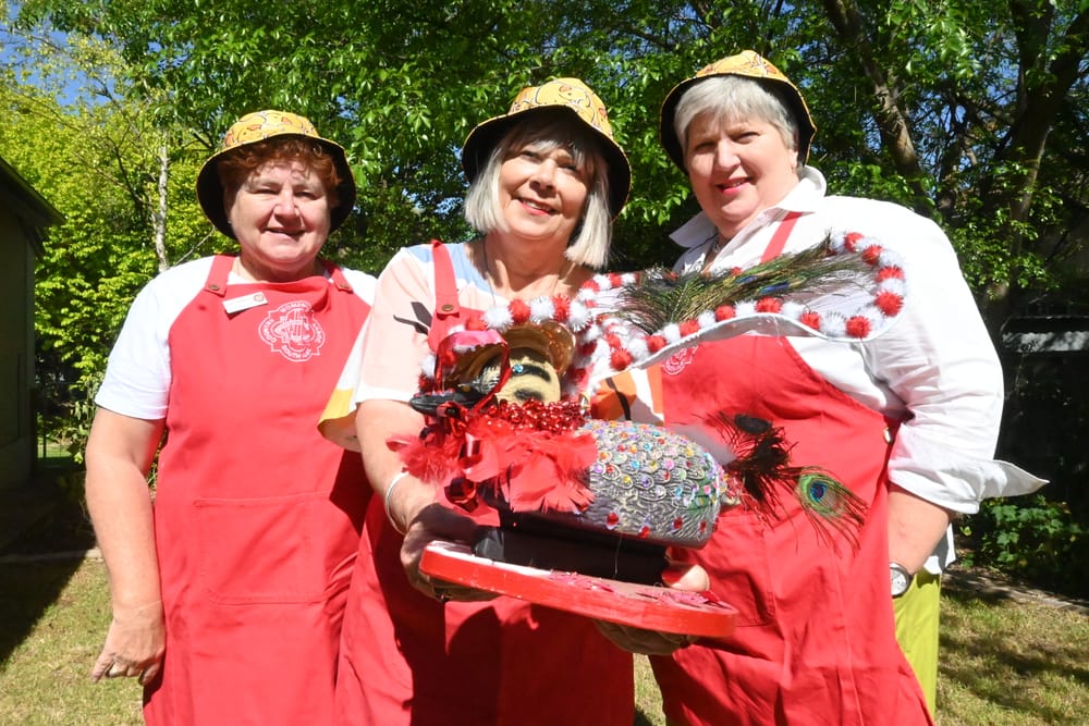 Priscilla makes a splash post image