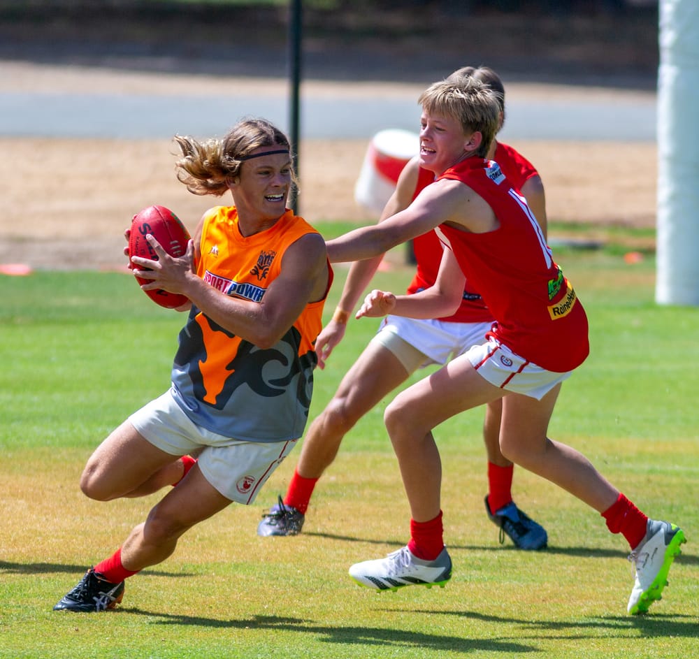 Footy legend honoured during game post image