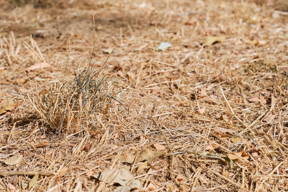 Be prepared as fire danger season approaches post image