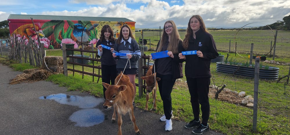 Goolwa Secondary College’s ag program moo-ving forward post image