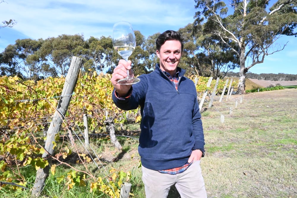 Longview Vineyard Manager reflects on great 2022 vintage post image