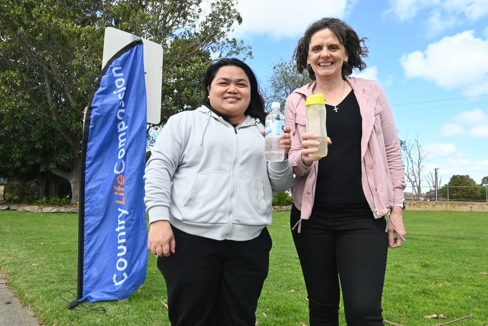 Walkathon just a few steps away post image