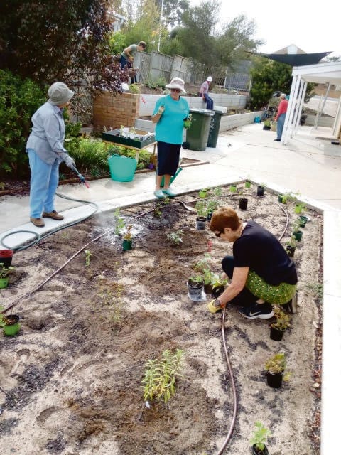 Volunteer green thumbs enliven local gardens for aged care residents post image