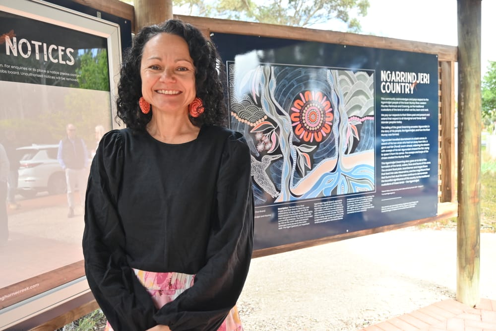 Langhorne Creek launches new painting post image