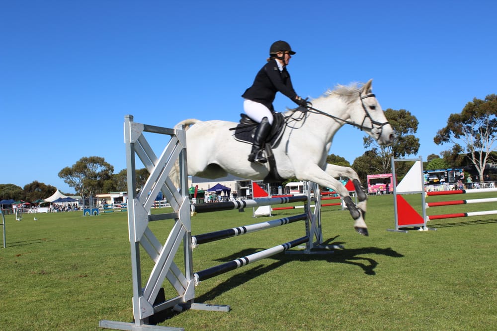 Port Elliot Show named event of the year post image