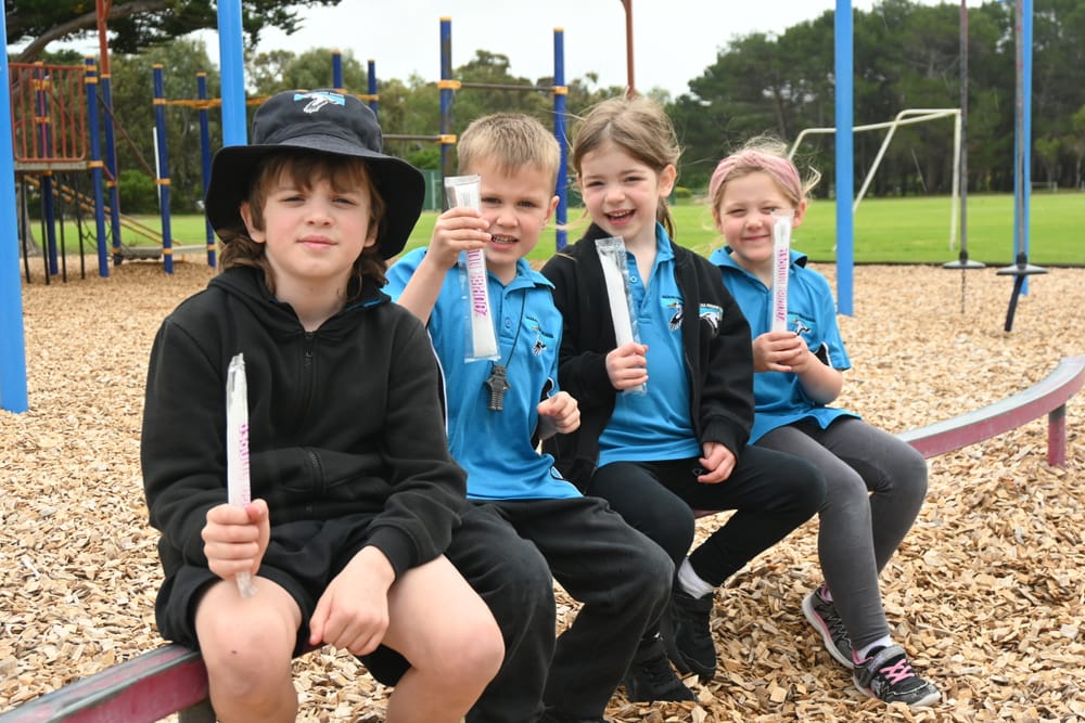 N-ice treats raise funds for Goolwa Primary upgrades post image