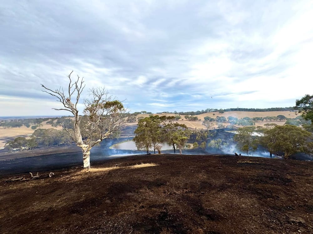 Paris Creek ravaged by fire post image